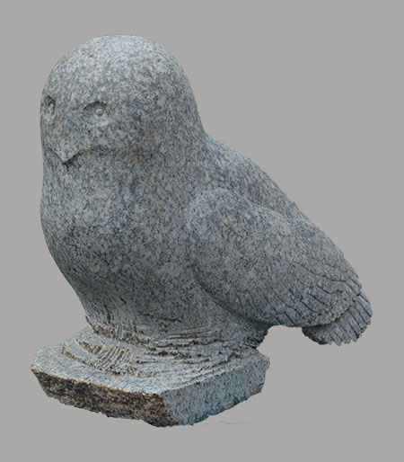 snowy owl, realistic