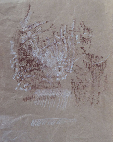 Out the kitchen window, on crumpled bag