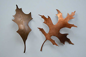 copper leaves