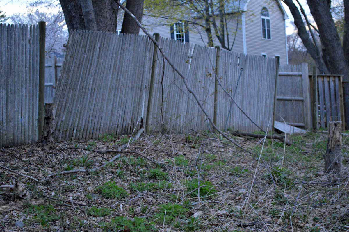 fallen fence