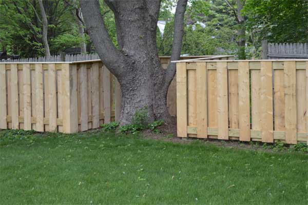 new fence