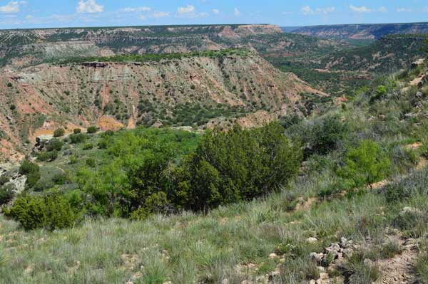 Palo Duro