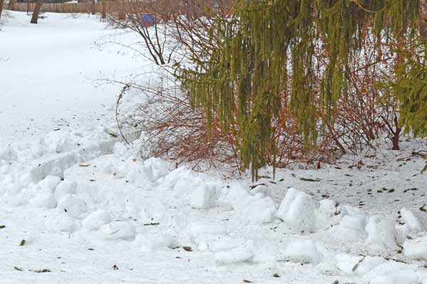 path through snow